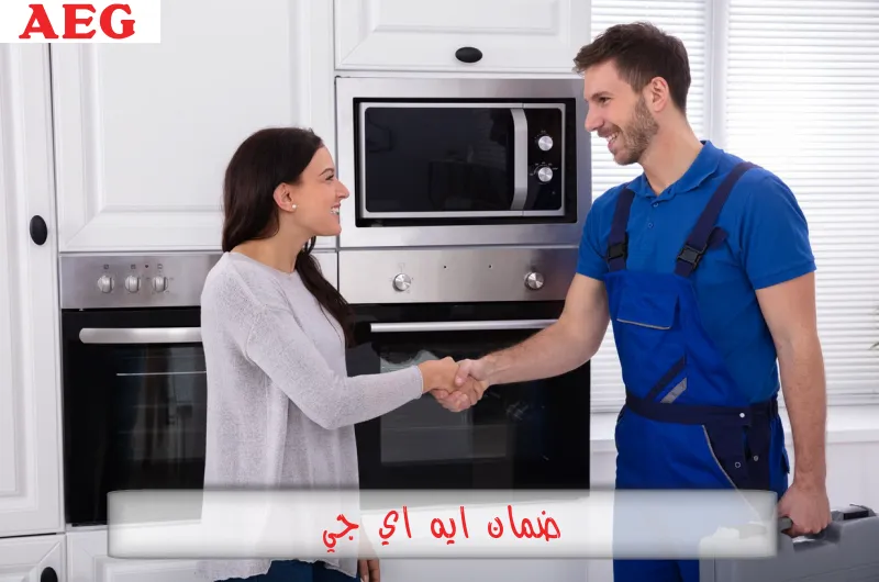 ضمان ايه اي جي